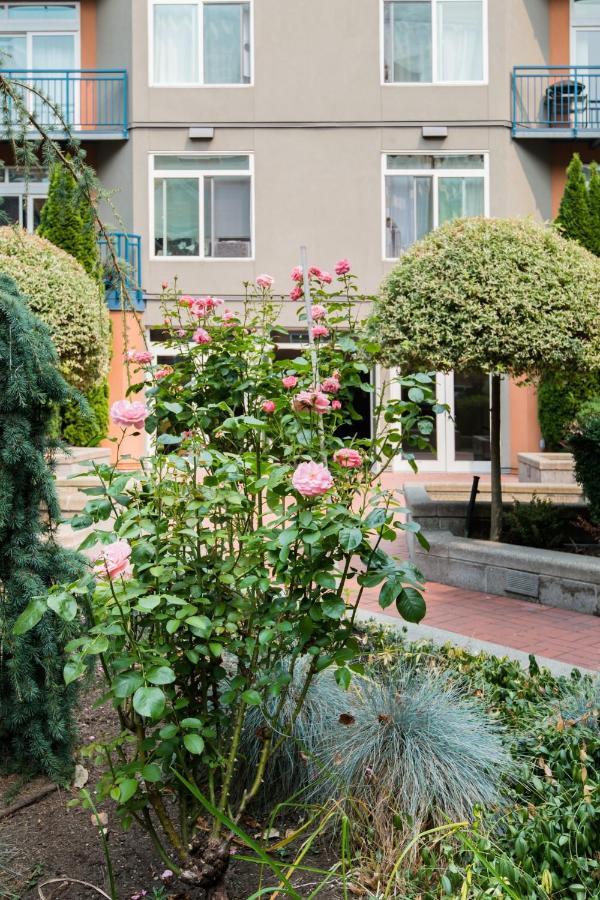 City Water View Oasis With Pool & Gym Near Cruise In Heart Of سياتل المظهر الخارجي الصورة